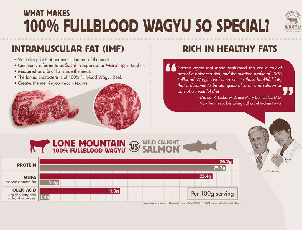wagyu vs salmone